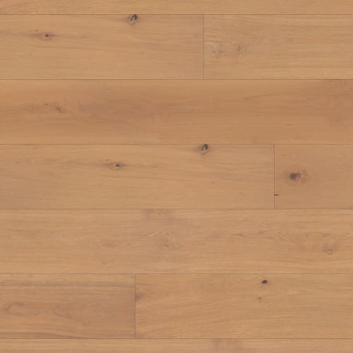 Regale in Sauvignon Hardwood