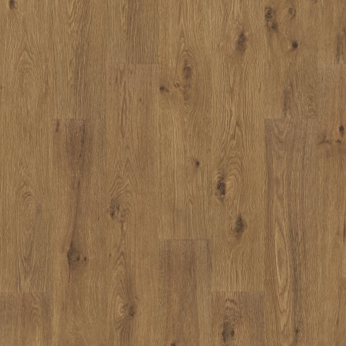 Woodland Resort In Brown Bark Oak