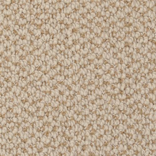 Authentic Living in Tracery Carpet