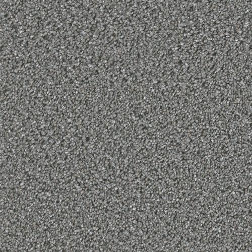 CAN'T MISS in Galatic Carpet