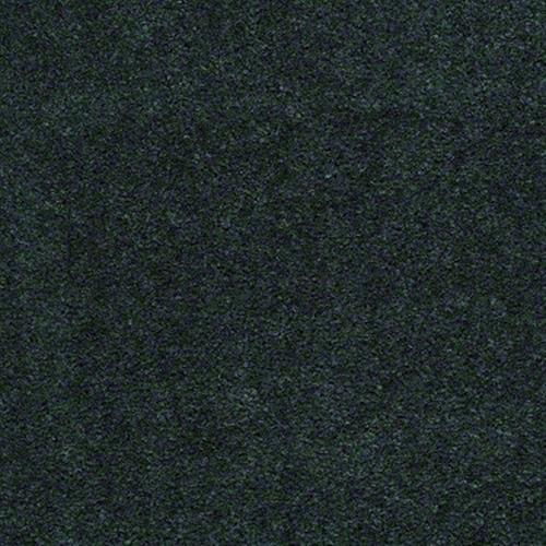 Sandy Ridge II in Emerald Stone Carpet