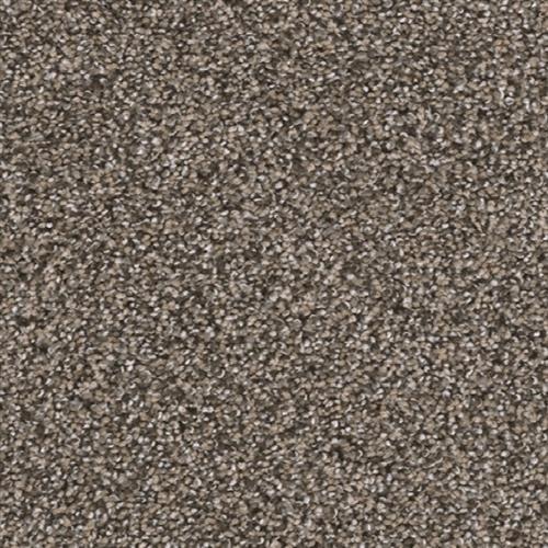 Reflections III in Smokey Taupe Carpet