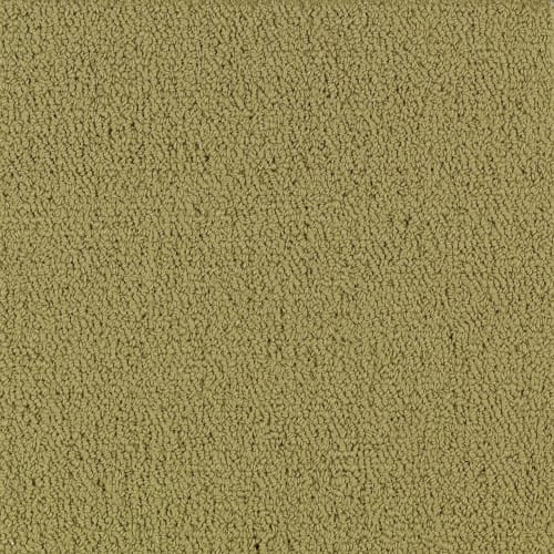Color Accents Bl