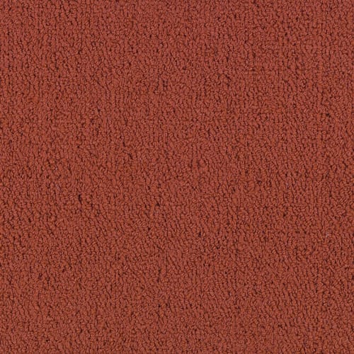 Color Accents Bl