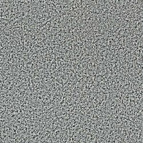 Arbor View (T) in Pavement Carpet