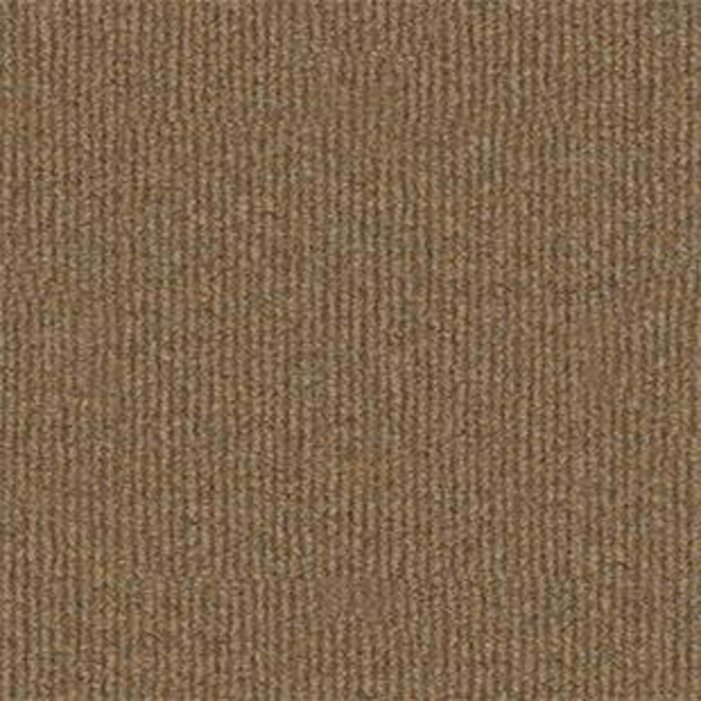 Summer Stock in Monterey Point Carpet