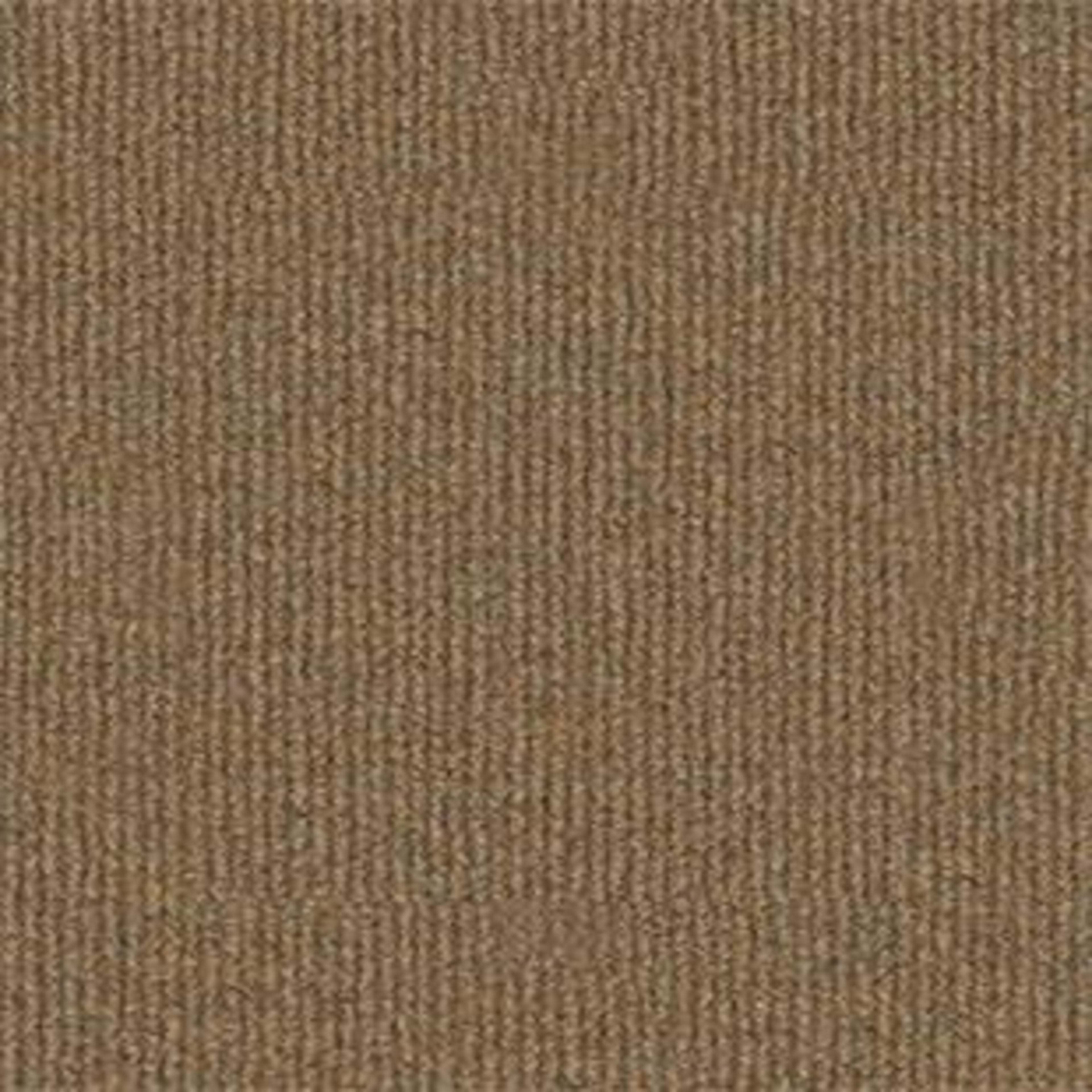 Summer Stock in Monterey Point Carpet