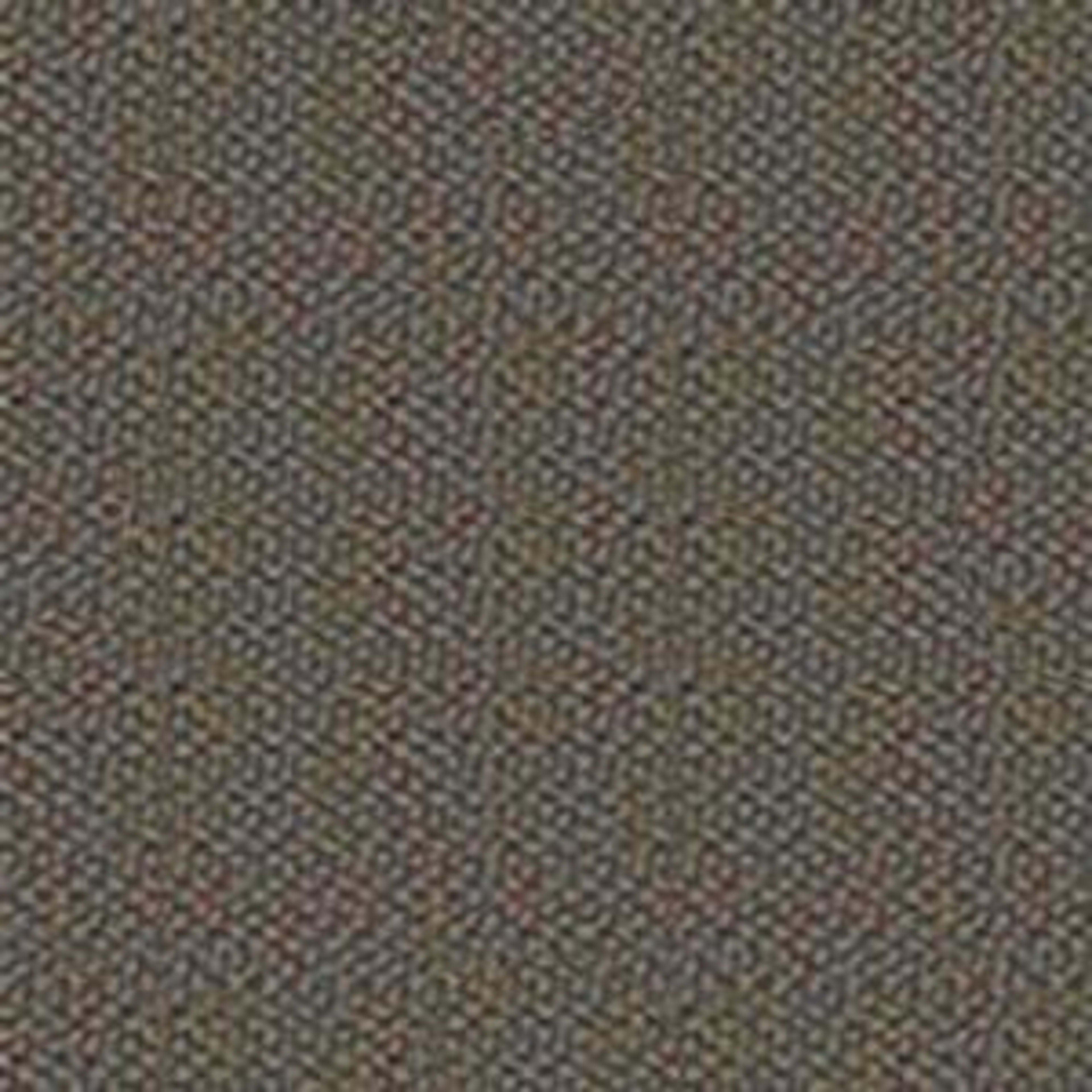 Bejeweled in Colorful Carpet