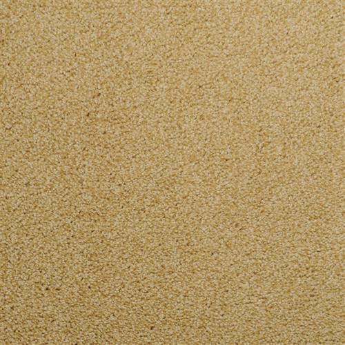 Shaw Industries | Pawstruck