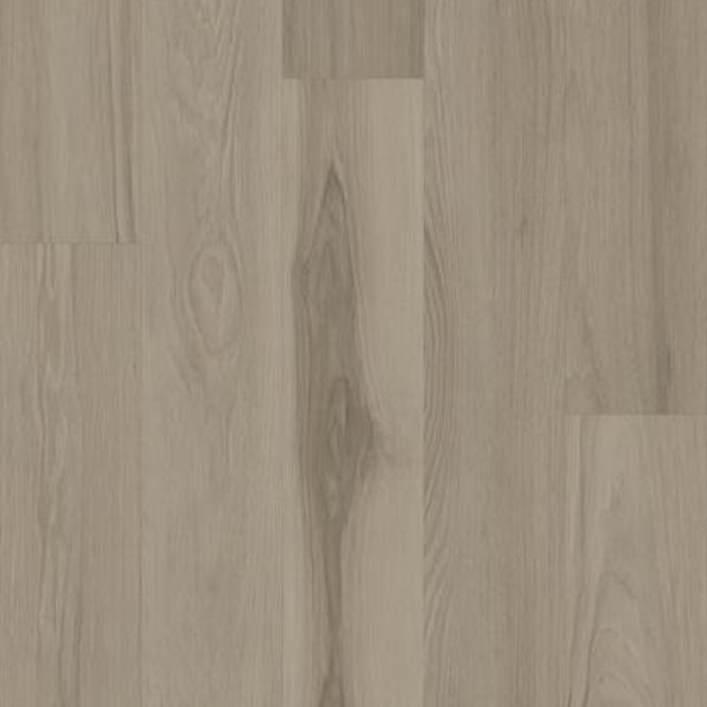 Gate Keeper 20 Mil in Salt Creek Luxury Vinyl