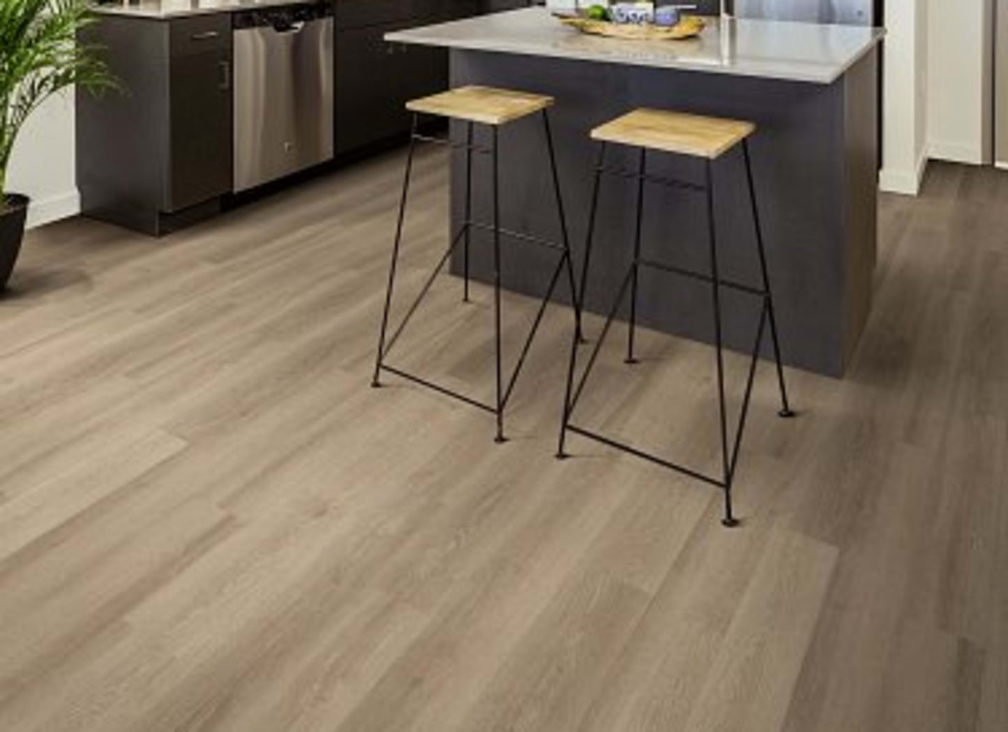 Classical Rendition 12 in Walnut Hill