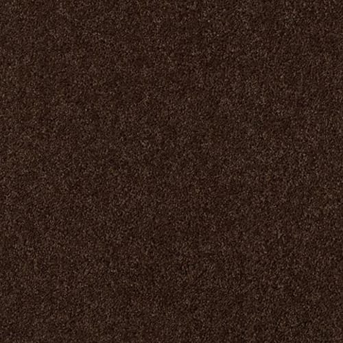 BREAK AWAY (S) in Coffee Bean Carpet