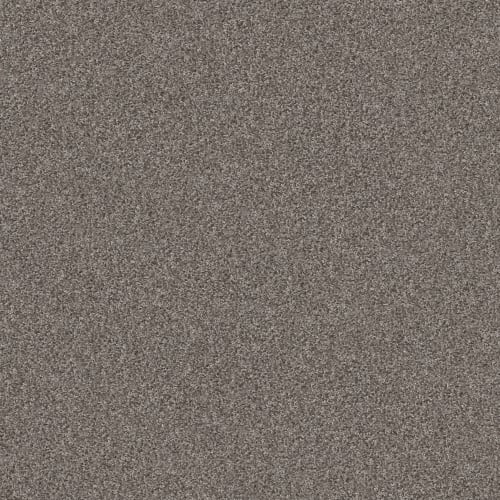 SPIRITED in Rainstorm Carpet