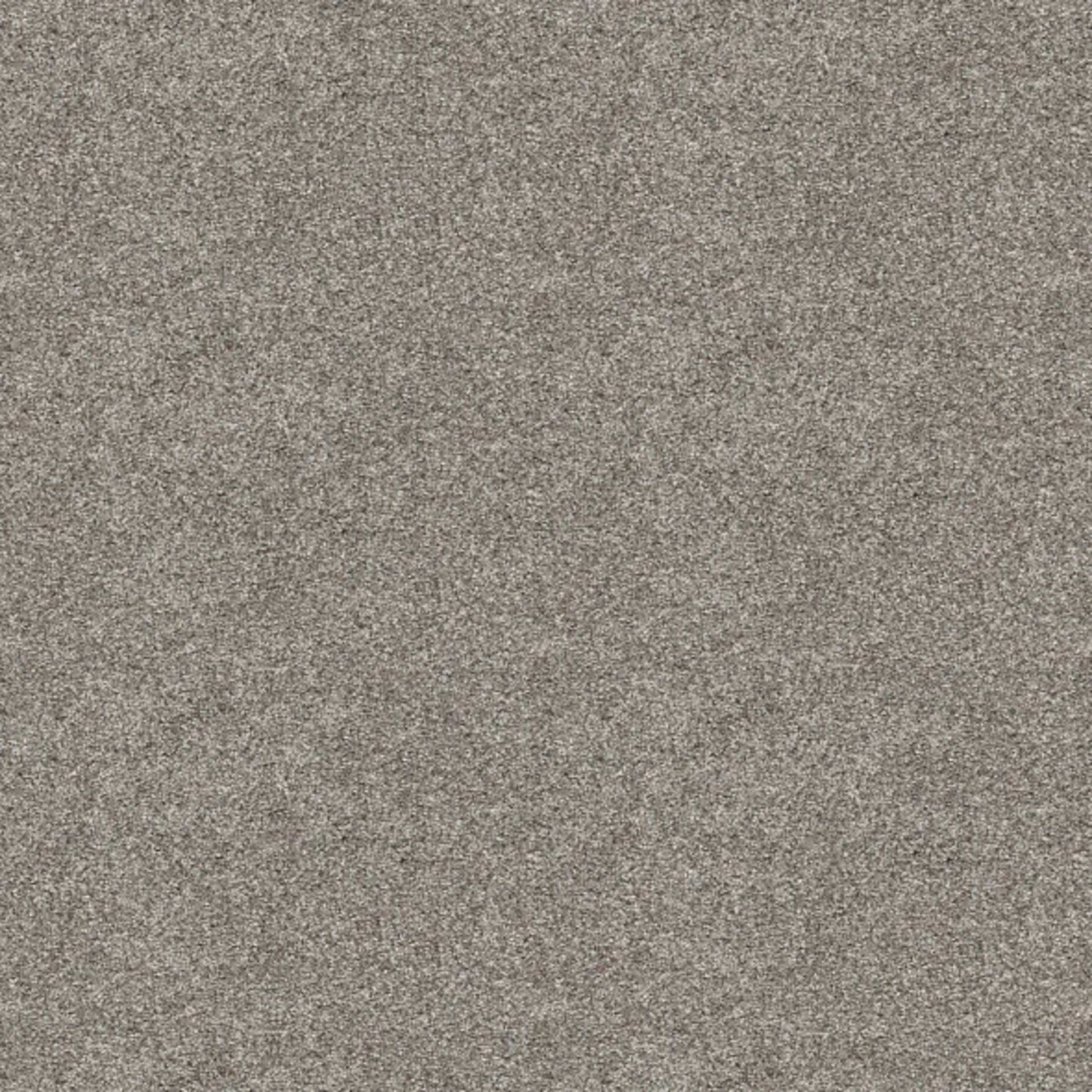 Elevated III in River Rock Carpet