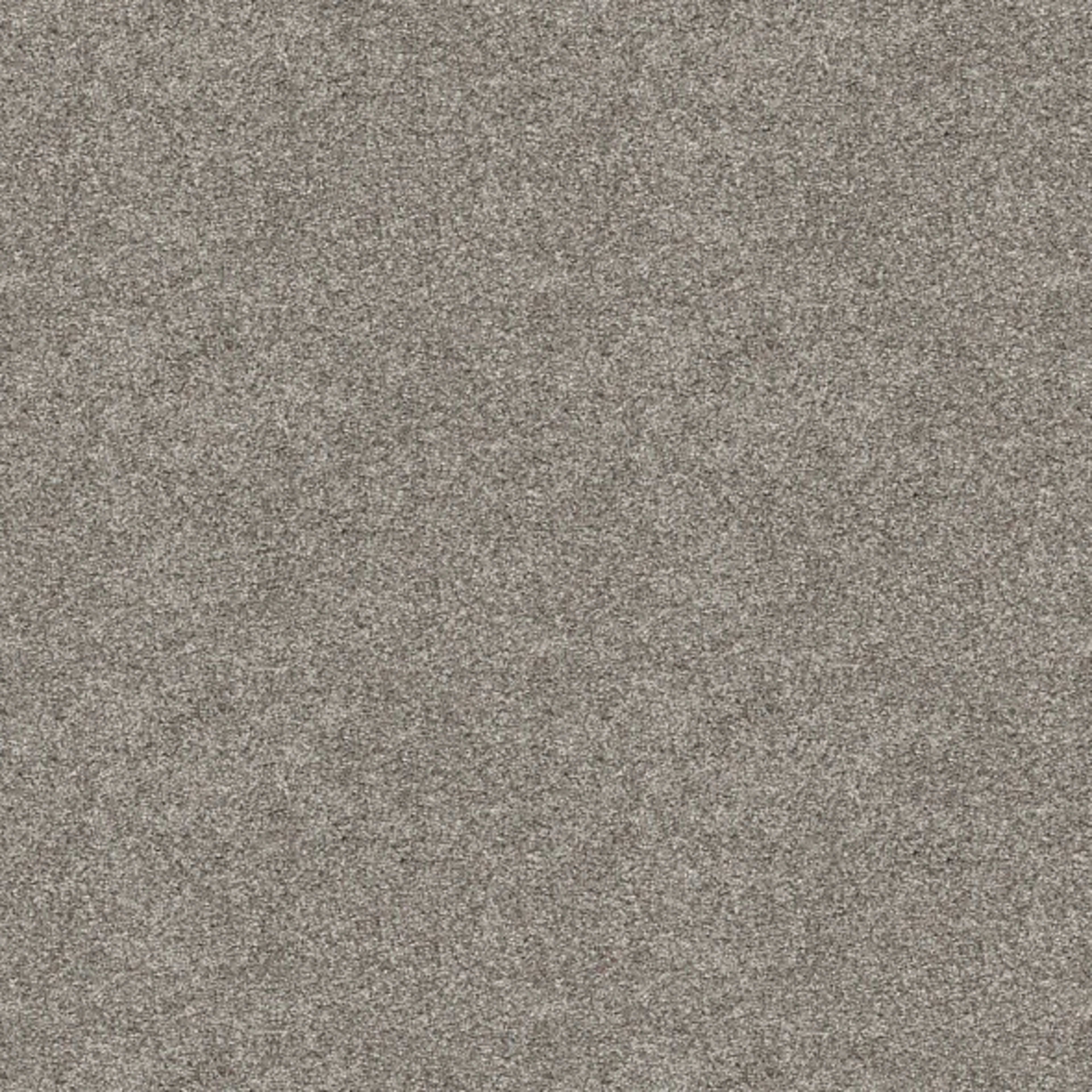 Elevated III in River Rock Carpet