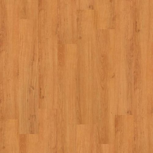 Thoroughly Mo12 in Commute Luxury Vinyl