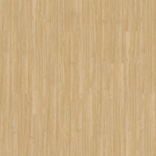 Pro Solutions Db In Camel
