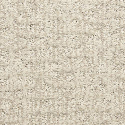 Aspects in Reserved Carpet