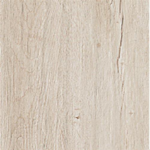 Alpi in Bianco - 12x48 Tile