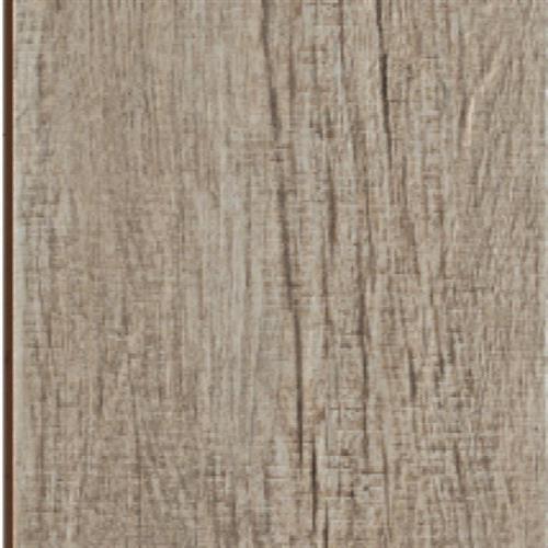 Alpi in Tortora - 12x48 Tile