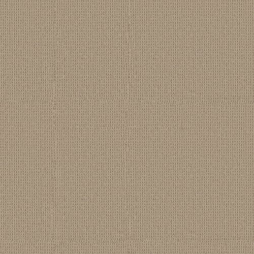 STYLE APPEAL in Nutshell Carpet