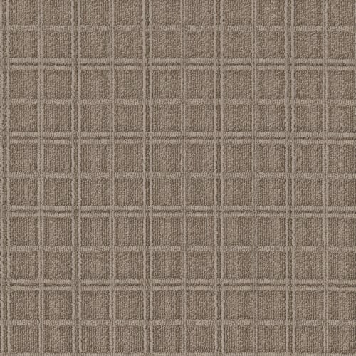 VERY MODERN in Barrel Carpet