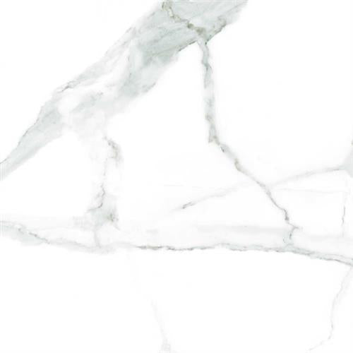 Alsacia in Alsacia - 12x24 Tile