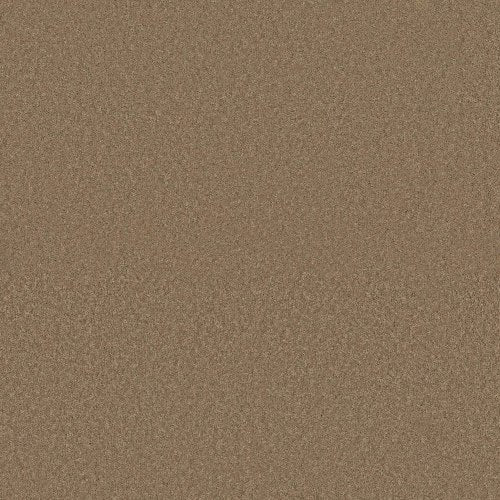 GENIUS in Sharp Carpet