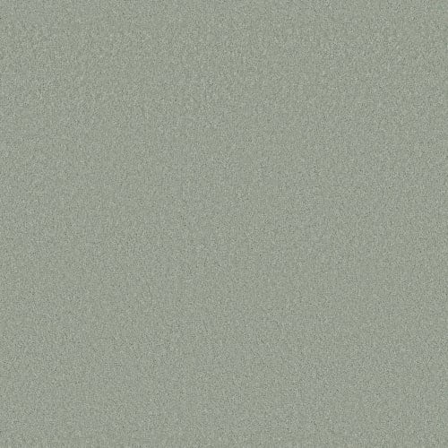 GLOBAL CITIZEN in Vector Carpet