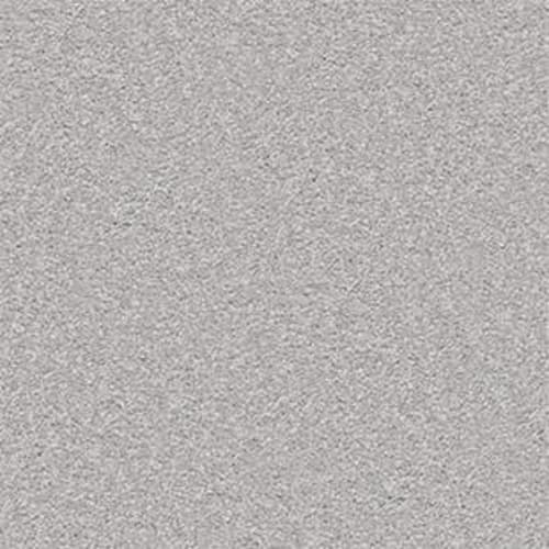 Usery Mountain 12 in Pewter Tray Carpet