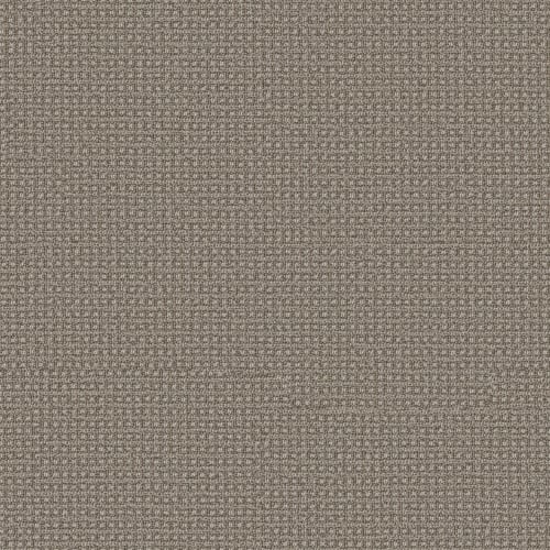 SECRET CHARM in Stampede Carpet