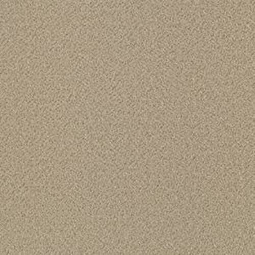Summerside in Fawn Beige Carpet