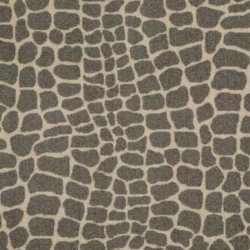 Nile Croc