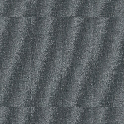 Laguna Beach in Stone Hearth Carpet