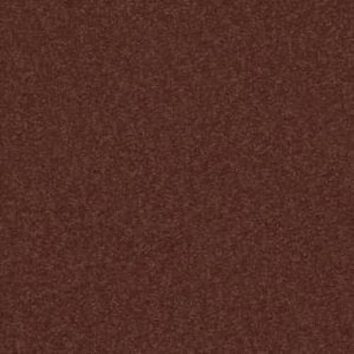 Radiant Vision I 12