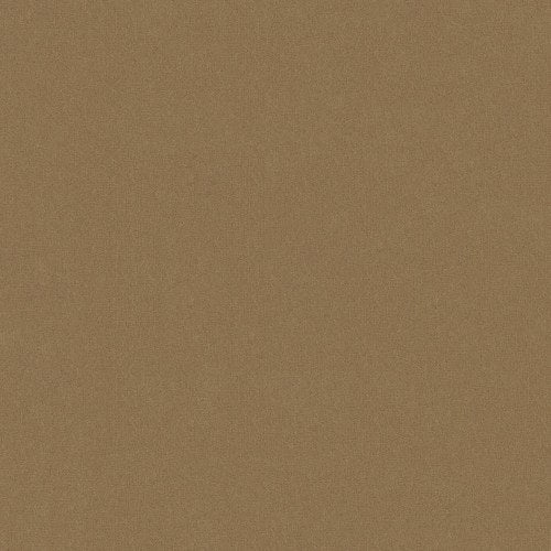 Relaxed Appeal in Nomad Carpet