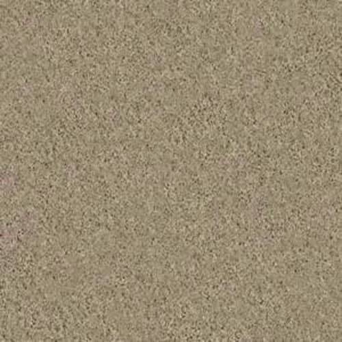 Prime in Arrowhead Carpet