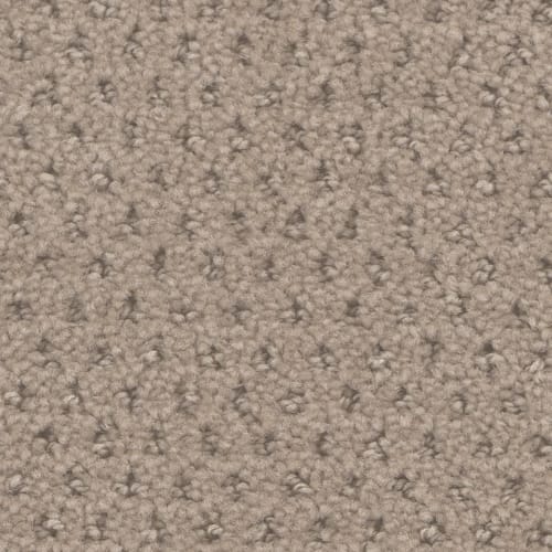 Bethpage in Hazelnut Cream Carpet