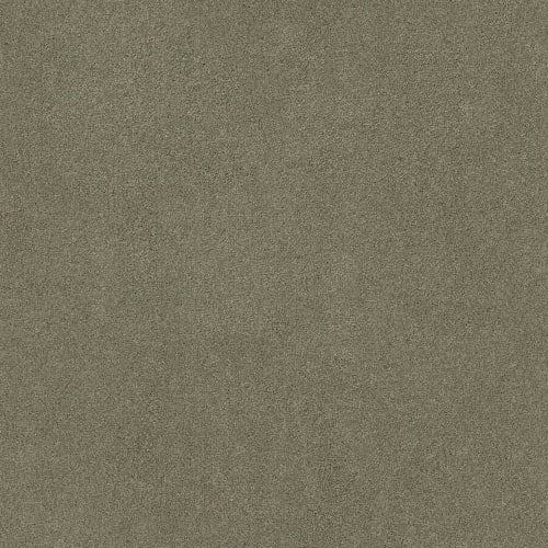 Kinetics in Polar Bear Carpet