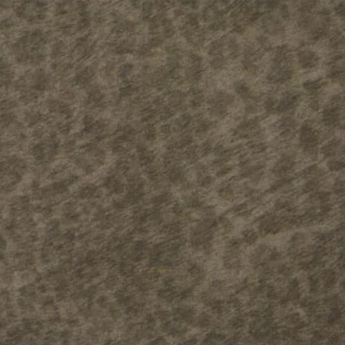 Flotex - Cleo In Kitten
