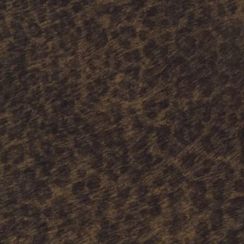 Flotex - Cleo In India