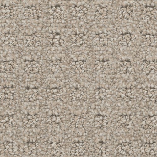 Perfect Attraction in Anchor Grey Carpet