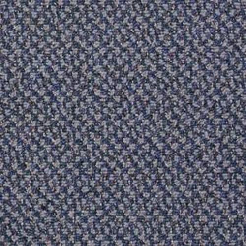 Shadow Canyon in Speedy Carpet