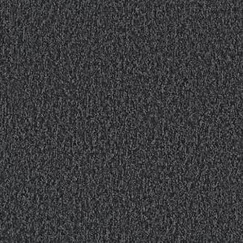 Robson in Out Pouring Carpet