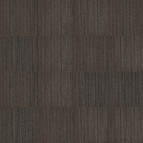 Wild One in Luck Of The Draw Carpet