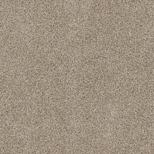 Ashton Hills in Sawgrass Carpet