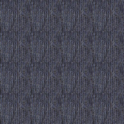 Alocasia in Glacial Ice Carpet