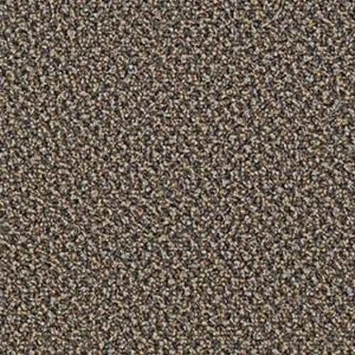 Cypress Point in Porcupine Carpet