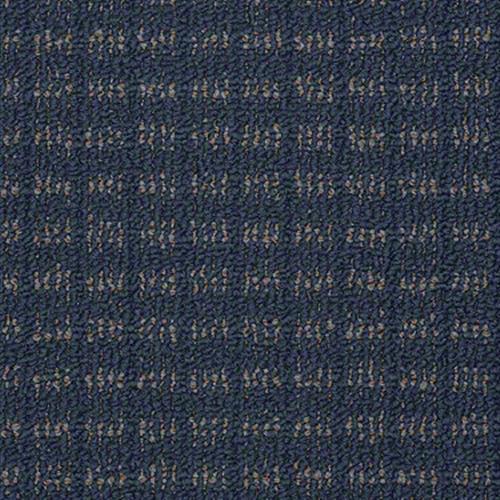 Appealing in Sea Worthy Carpet