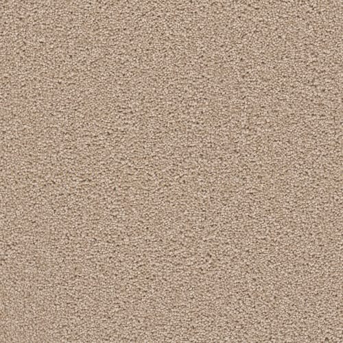 All Star in Sand Carpet